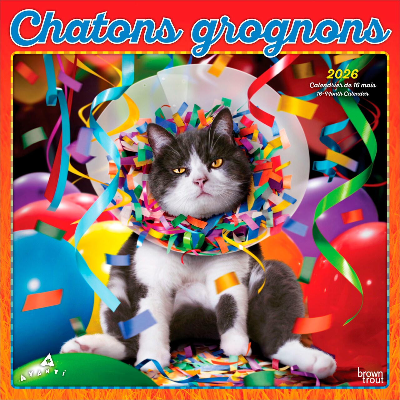 Avanti Chatons Grognons OFFICIEL | 2026 12 x 24 Inch (Hanging) Monthly Square Wall Calendar | French Language